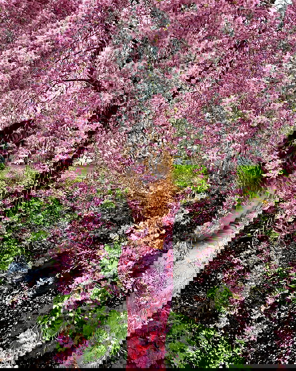 v.qx v.qx archive image