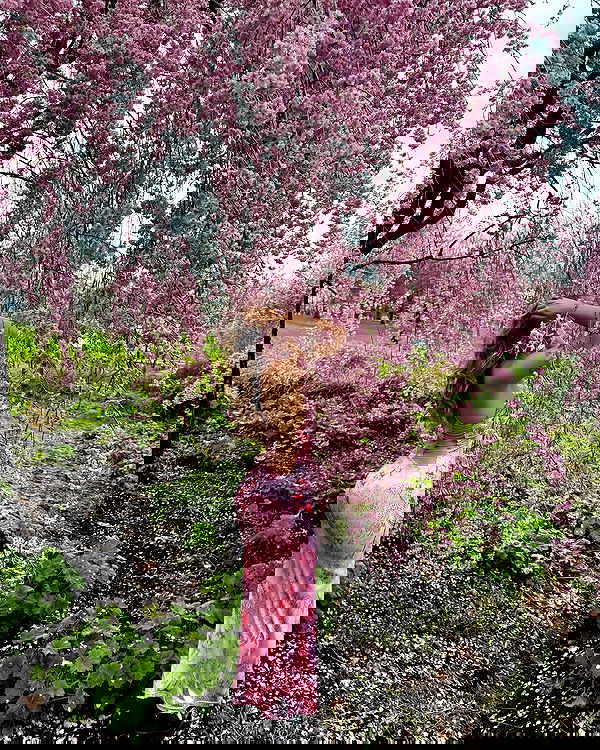 v.qx v.qx archive image