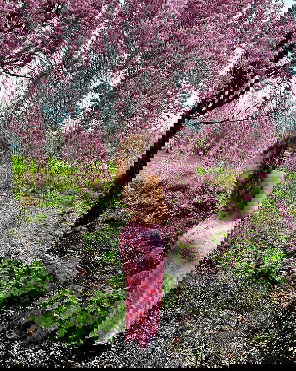 v.qx v.qx archive image