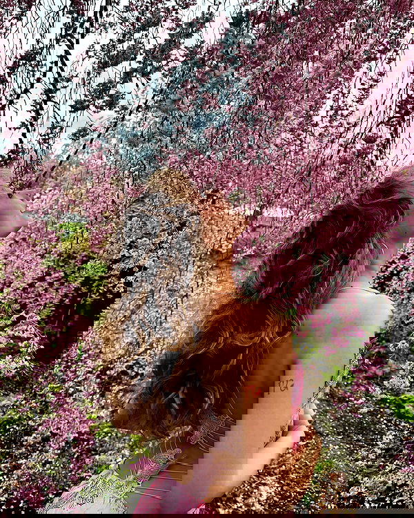 v.qx v.qx archive image