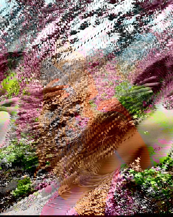 v.qx v.qx archive image