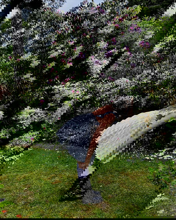 v.qx v.qx archive image