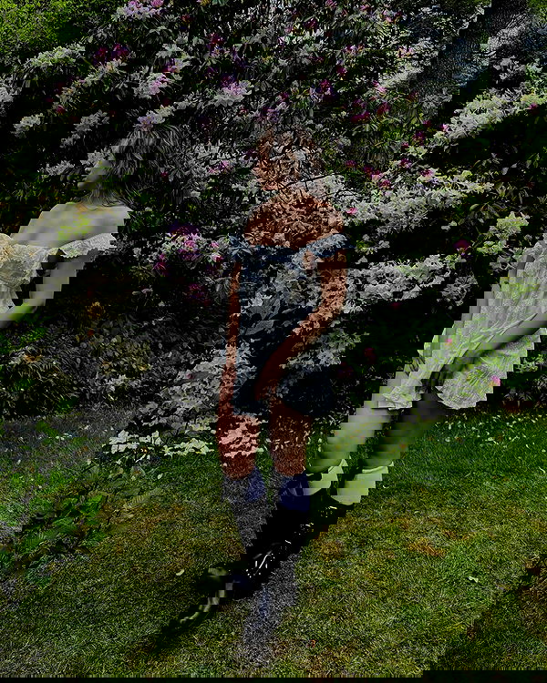 v.qx v.qx archive image