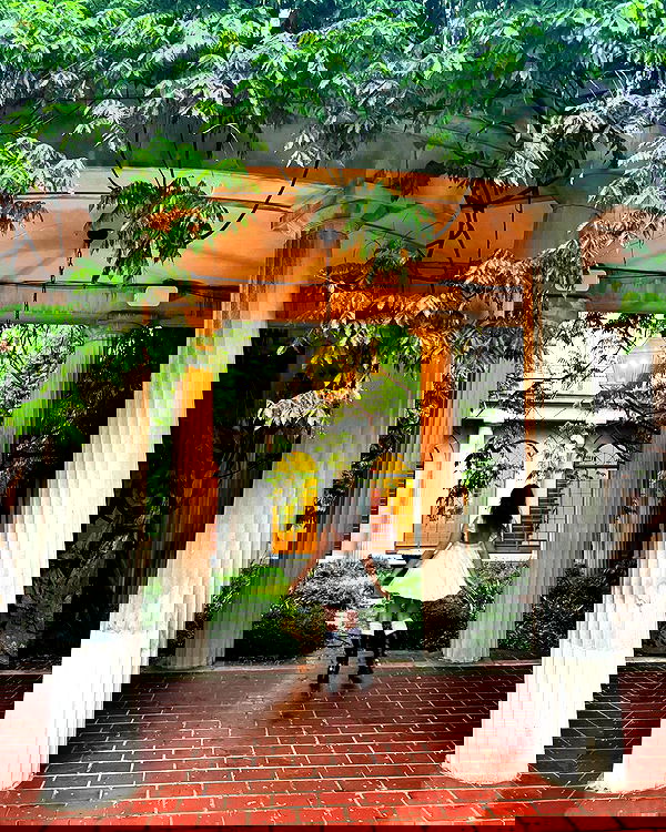 v.qx v.qx archive image