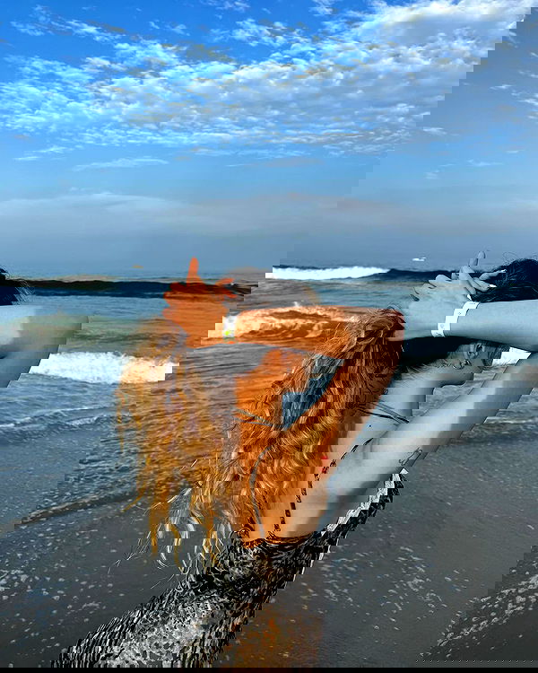 v.qx v.qx archive image