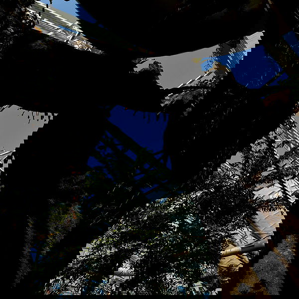 v.qx v.qx archive image