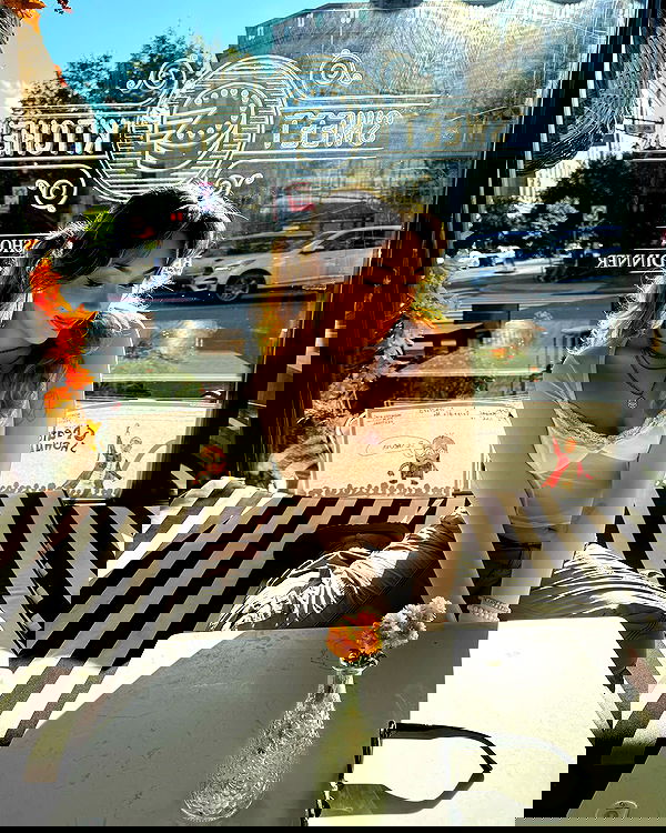 v.qx v.qx archive image