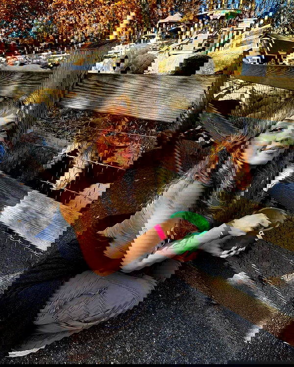 v.qx v.qx archive image