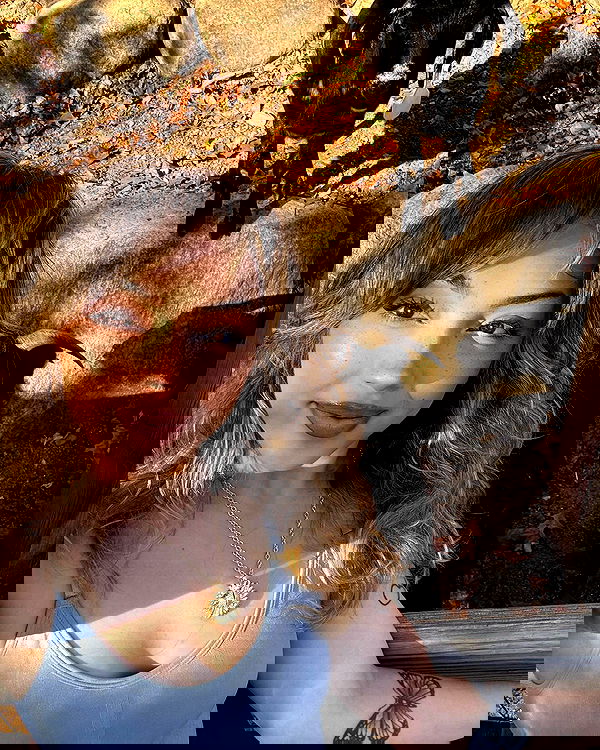 v.qx v.qx archive image