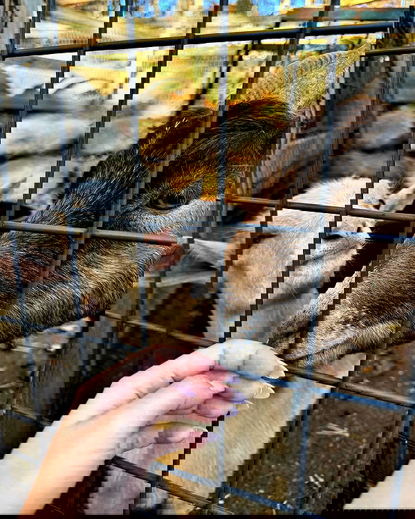 v.qx v.qx archive image