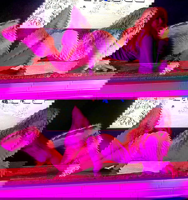 v.qx v.qx archive image