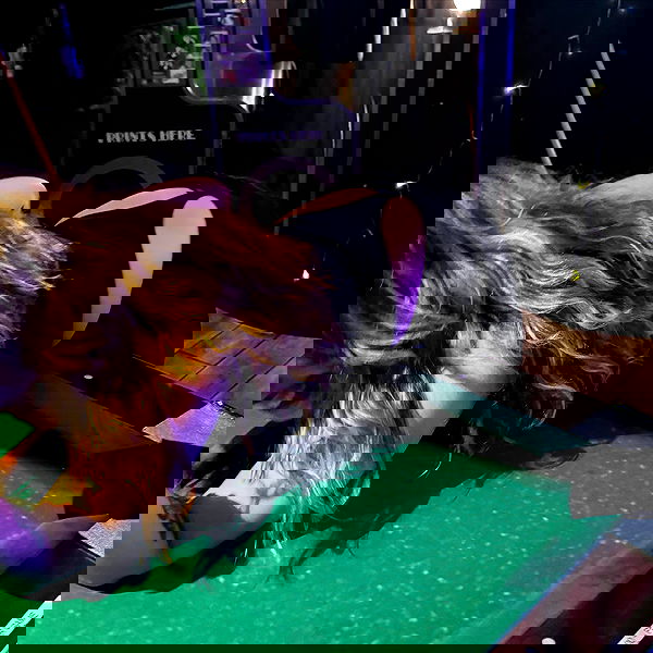 v.qx v.qx archive image