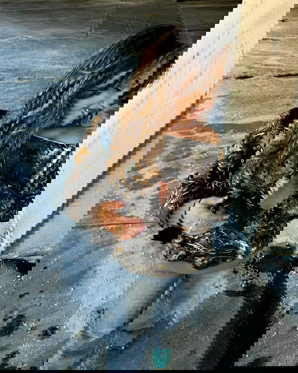 v.qx v.qx archive image