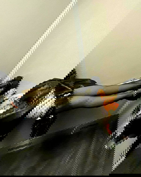 v.qx v.qx archive image