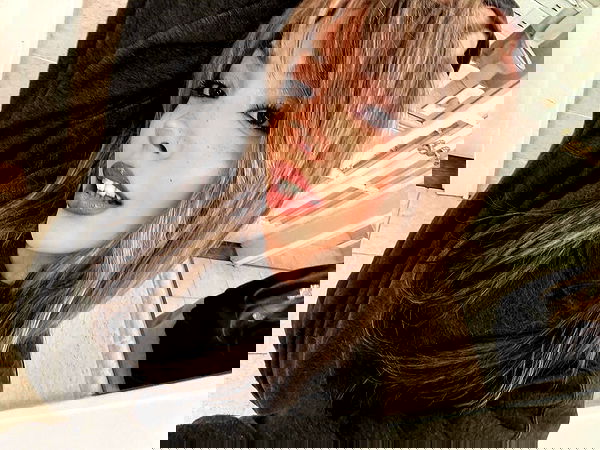 v.qx v.qx archive image