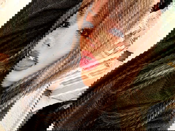 v.qx v.qx archive image