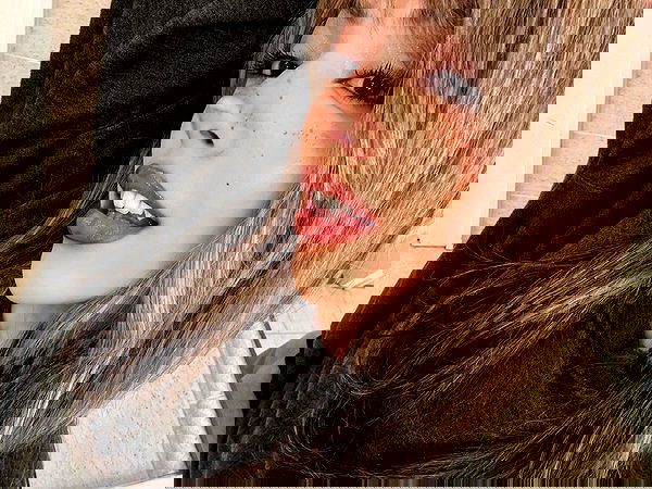 v.qx v.qx archive image