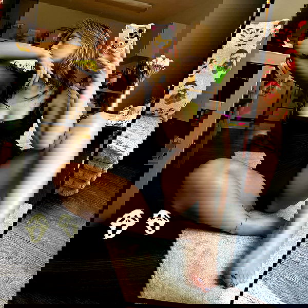 v.qx v.qx archive image