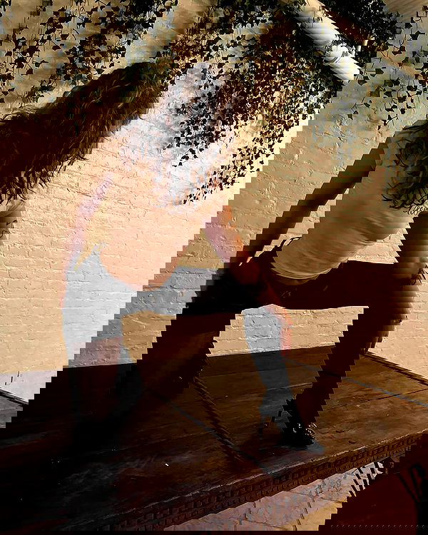 v.qx v.qx archive image