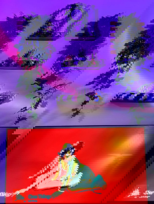 v.qx v.qx archive image