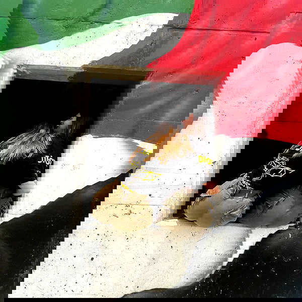 valeria_lukin valeria_lukin archive image