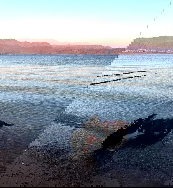 valeria_lukin valeria_lukin archive image