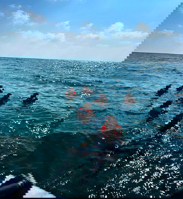 valeria_lukin valeria_lukin archive image