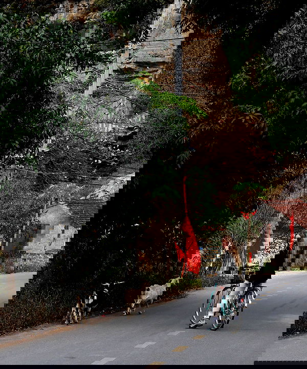 valeria_lukin valeria_lukin archive image