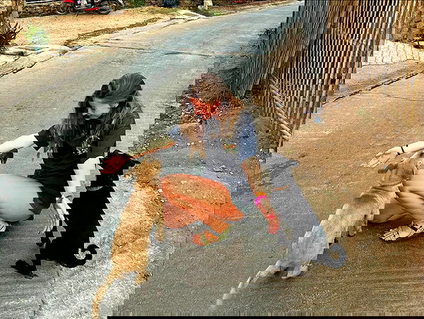 valeria_lukin valeria_lukin archive image