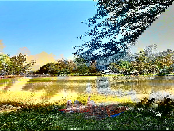 valeria_lukin valeria_lukin archive image