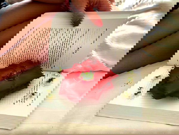 valeria_lukin valeria_lukin archive image