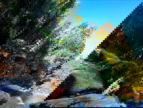 valeria_lukin valeria_lukin archive image