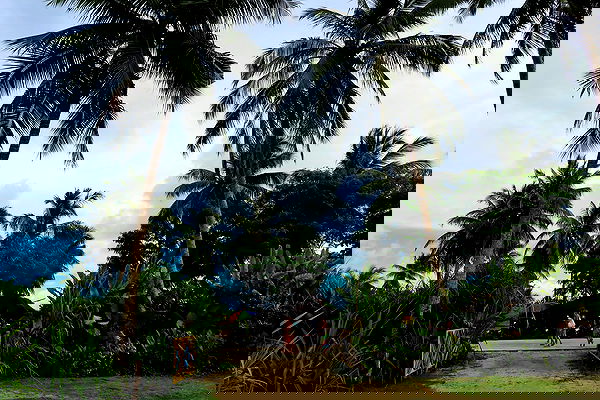 valeria_lukin valeria_lukin archive image