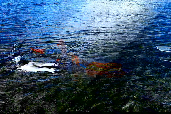 valeria_lukin valeria_lukin archive image