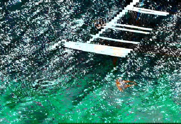 valeria_lukin valeria_lukin archive image