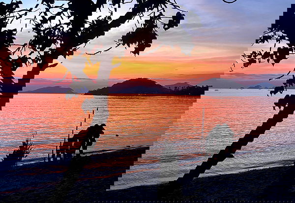 valeria_lukin valeria_lukin archive image