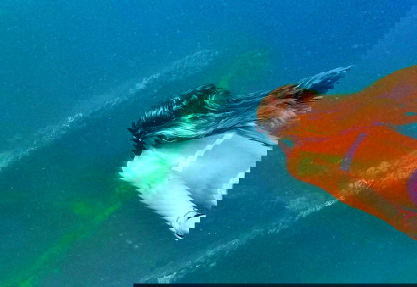 valeria_lukin valeria_lukin archive image