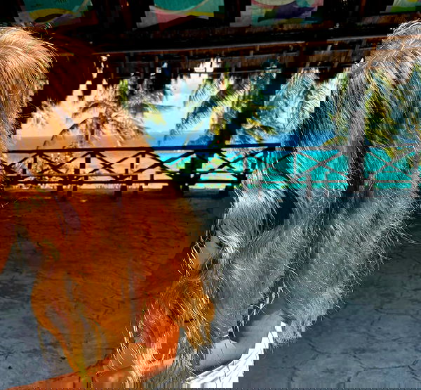 valeria_lukin valeria_lukin archive image