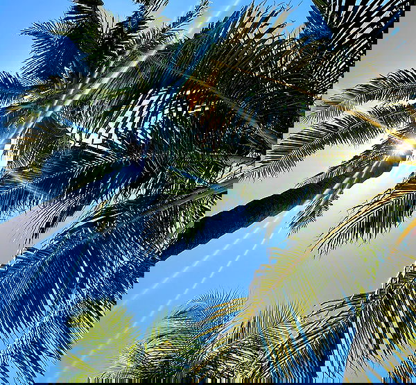 valeria_lukin valeria_lukin archive image