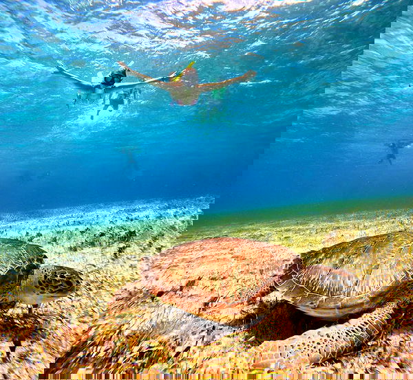 valeria_lukin valeria_lukin archive image