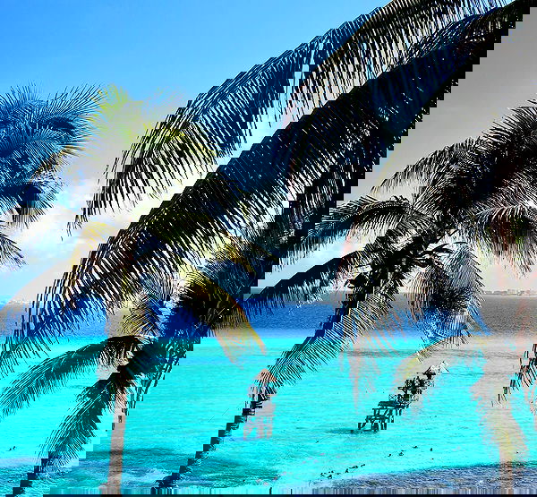 valeria_lukin valeria_lukin archive image