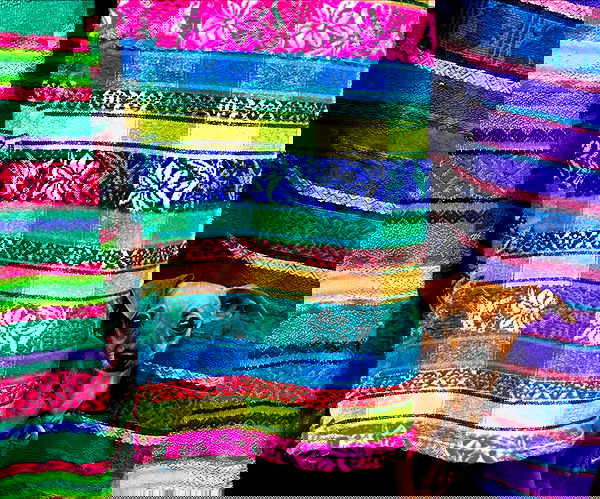 valeria_lukin valeria_lukin archive image