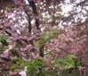 valeriecastellano Altpins Profile Picture