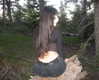 valeriecastellano Altpins Profile Picture