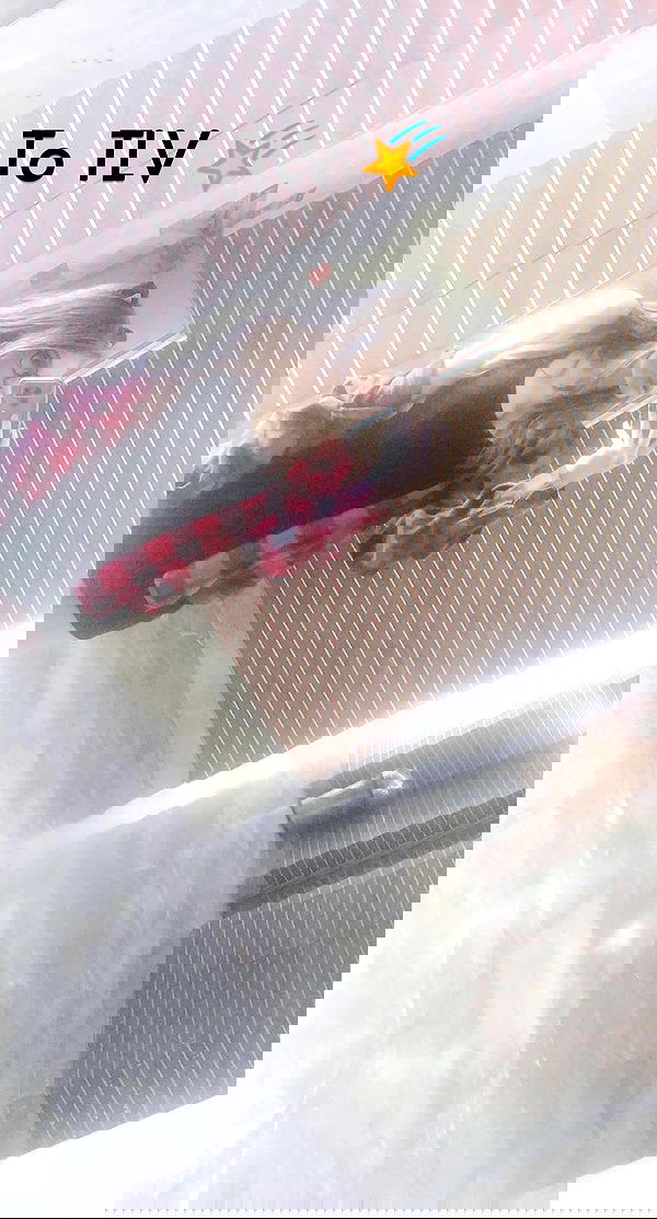 valeryy.t1 image ~ Altpins