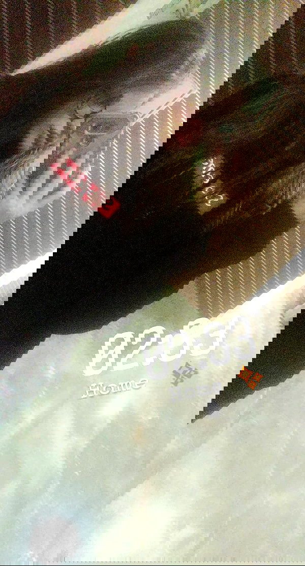 valeryy.t1 image ~ Altpins