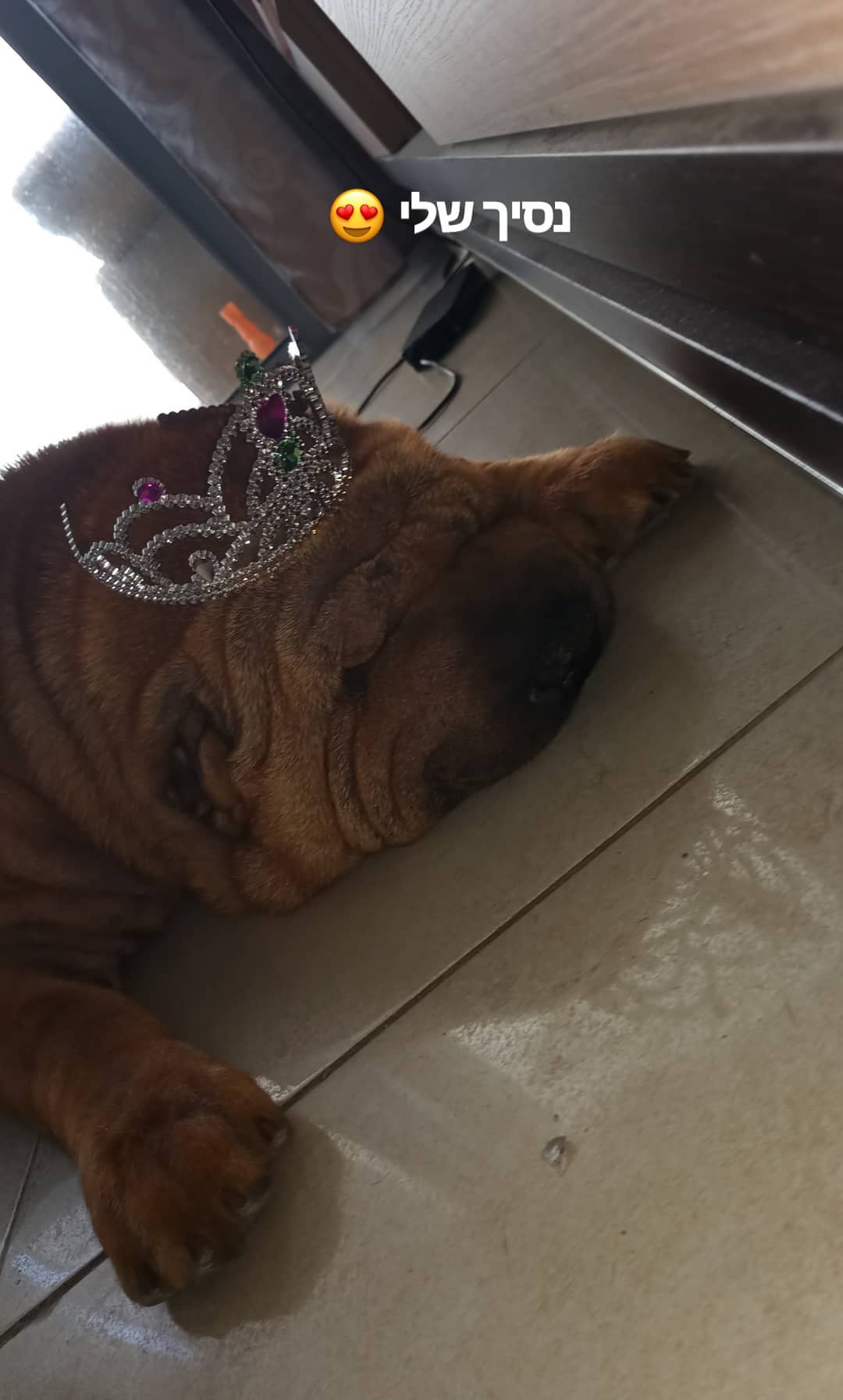 valeryy.t1 instagram image archive image