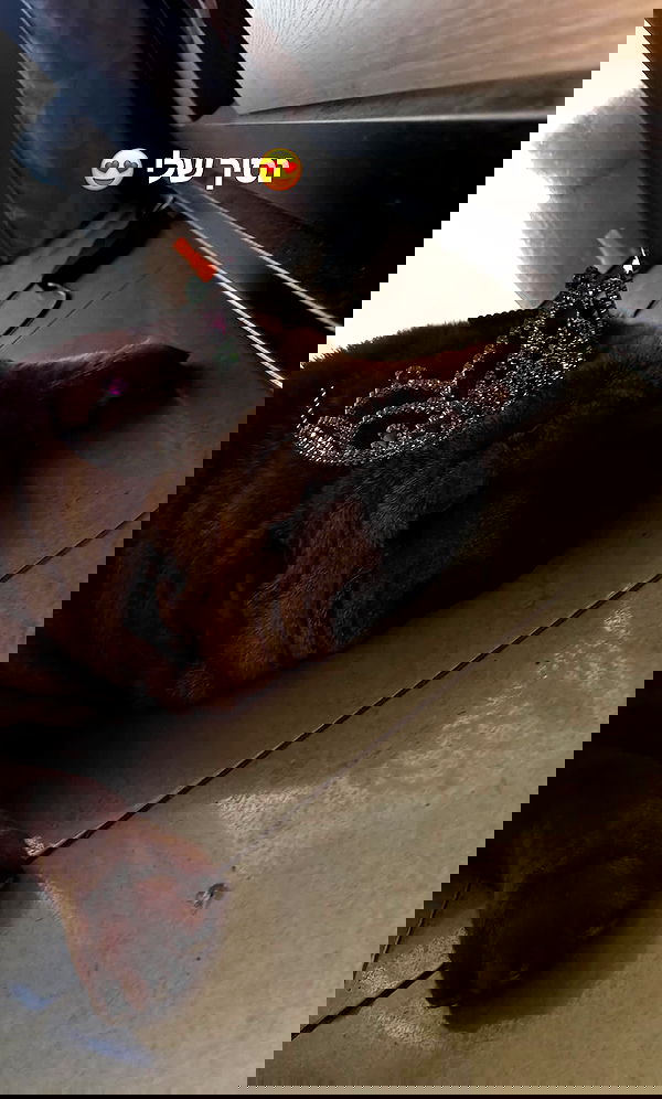 valeryy.t1 image ~ Altpins