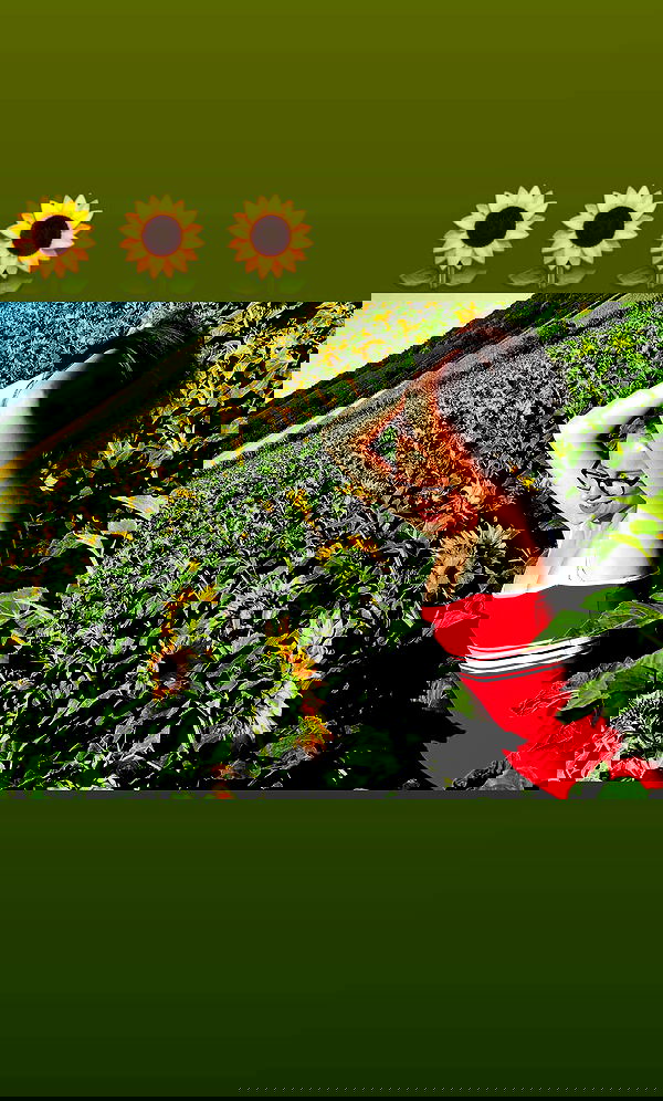 valeryy.t1 image ~ Altpins