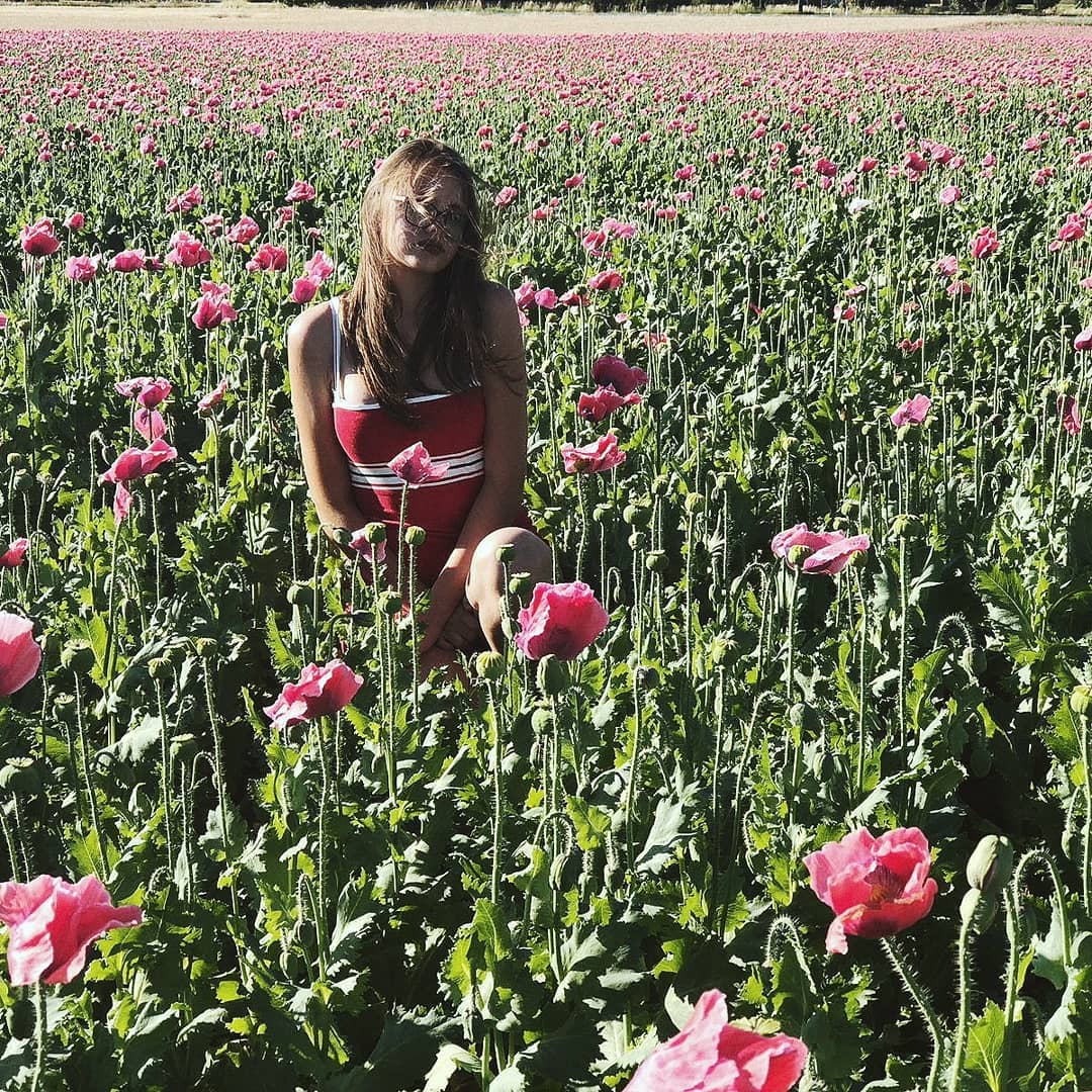 valeryy.t1 instagram image archive image